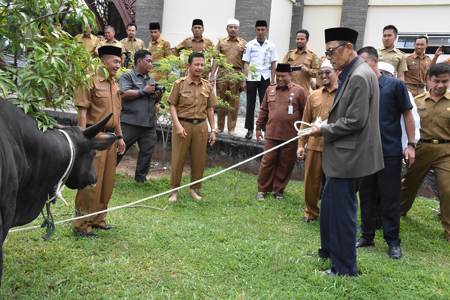 riaubertuah.id