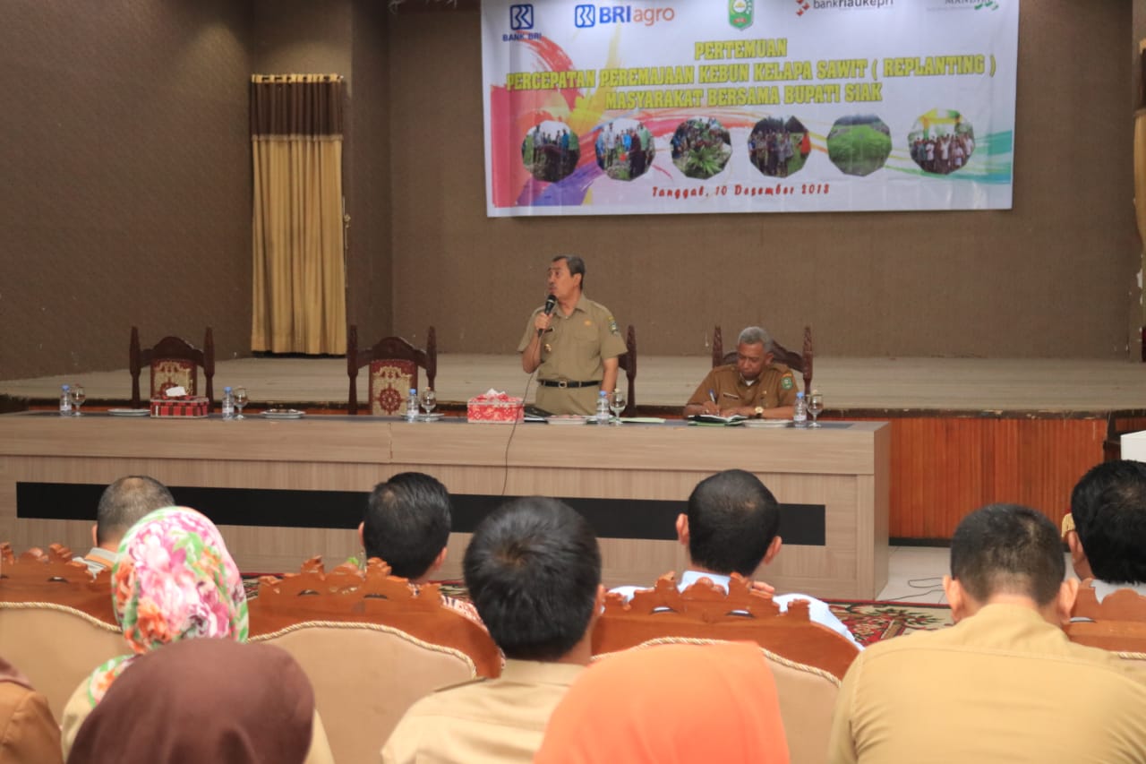 riaubertuah.id