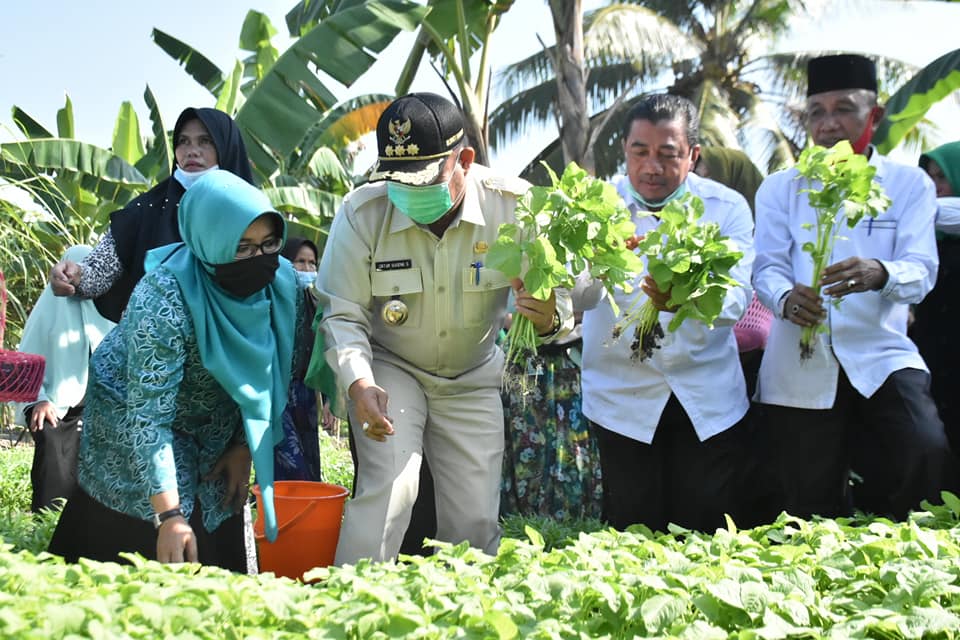 1593587094-RiauBertuah co-kampar2