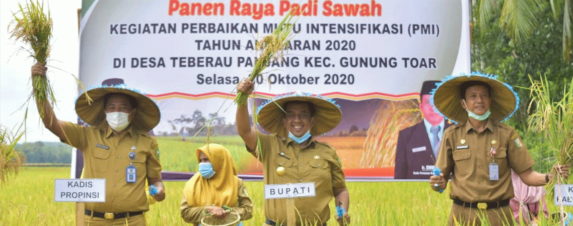 riaubertuah.id
