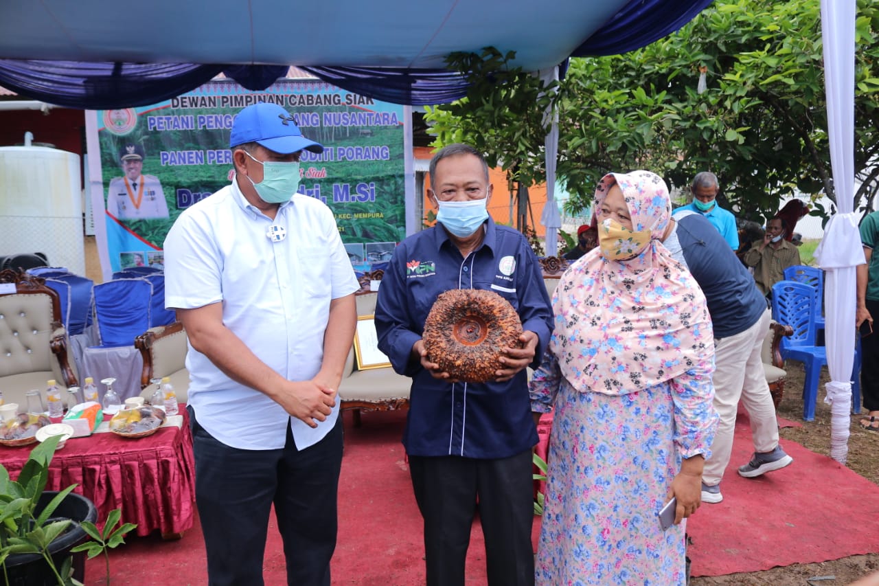 riaubertuah.id